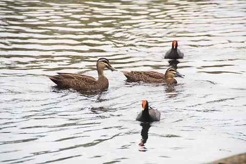 Northlakes Studio - Accommodation Port Hedland 2