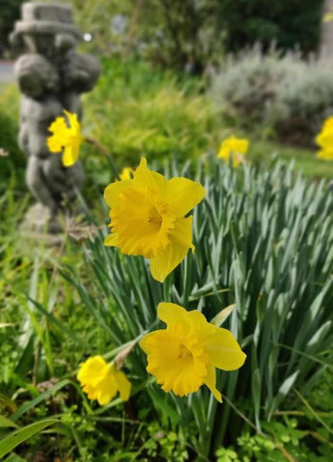 Lilacs Waterfront Villas & Cottages - Accommodation Port Hedland 2