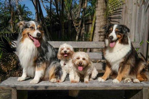 Wildlife Holiday Home - Accommodation Port Hedland 4