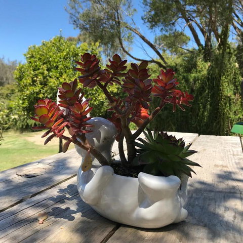 The Fingal Farm - Accommodation Port Hedland 3