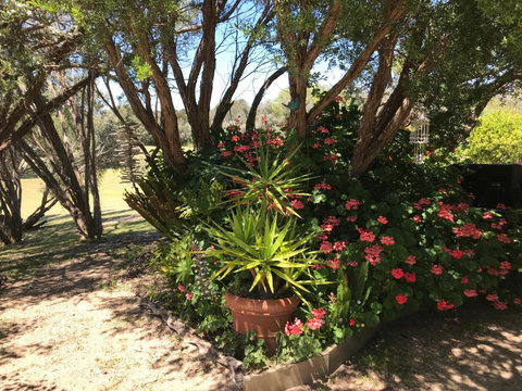 The Fingal Farm - Accommodation Port Hedland 6