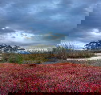 Saintys Creek Cottage - Accommodation Port Hedland
