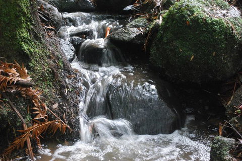 Rocky Creek Art Garden B&B - Accommodation Port Hedland 4