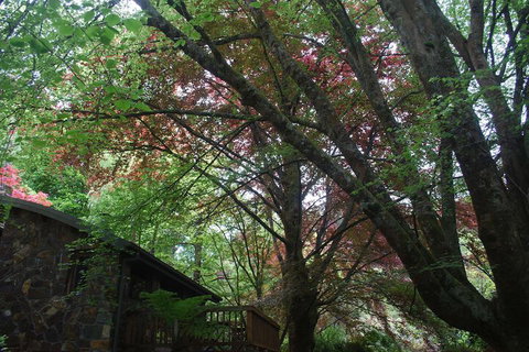 Rocky Creek Art Garden B&B - Accommodation Port Hedland 2