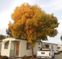 Wodonga Caravan  Cabin Park - Accommodation Port Hedland