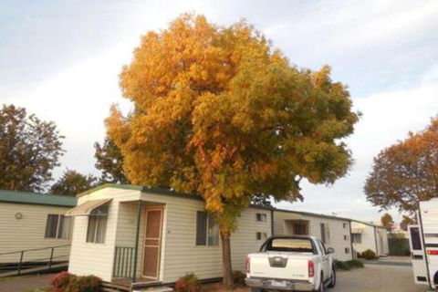 Wodonga Caravan & Cabin Park - Accommodation Port Hedland 0