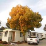 Wodonga Caravan & Cabin Park - Accommodation Port Hedland 1