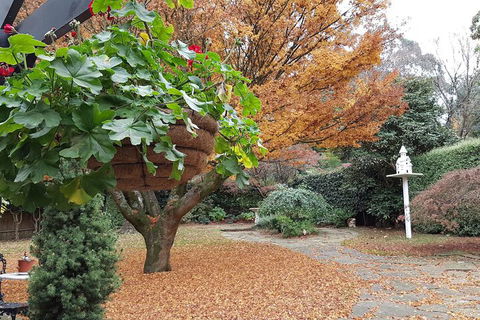 Villa DAmour - Accommodation Port Hedland 2