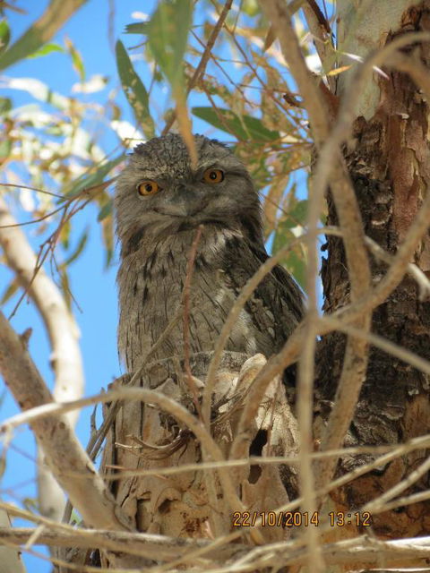 Kalbarri Tudor Holiday Park - Accommodation Port Hedland 3