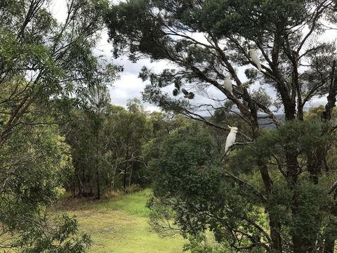 Kookaburra Retreat - Accommodation Port Hedland 5