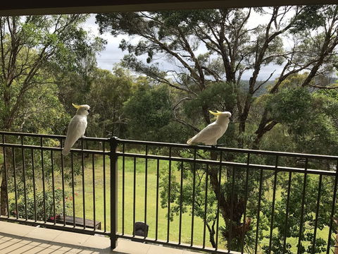 Kookaburra Retreat - Accommodation Port Hedland 4