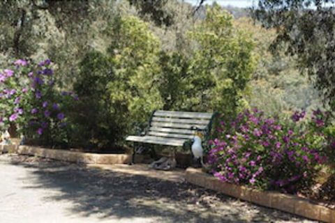 Wild Cherry Bed & Breakfast - Accommodation Port Hedland 3