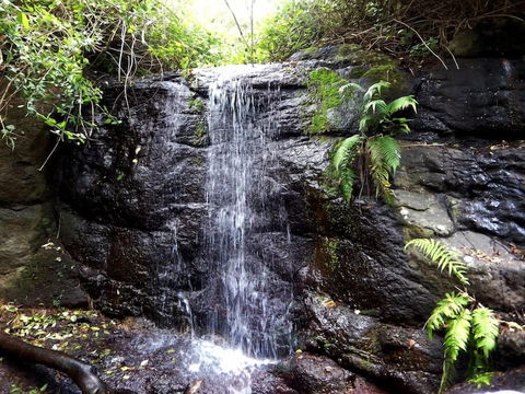 Riverbend Byron Hinterland Retreat - Accommodation Port Hedland 2