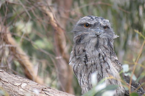 Butterworth Accommodation - Accommodation Port Hedland 1