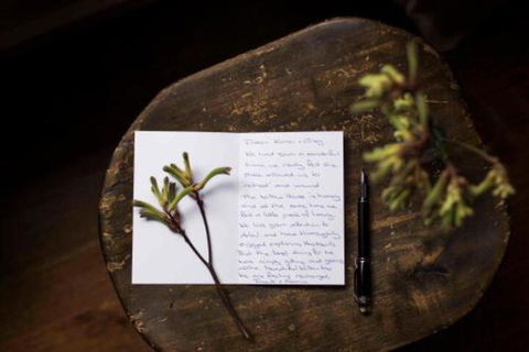 Botanica Editions - Accommodation Port Hedland 7