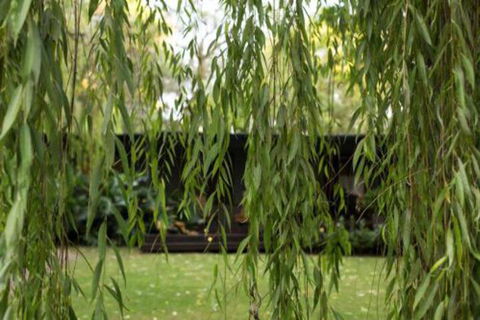 Botanica Editions - Accommodation Port Hedland 6