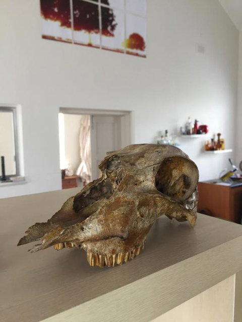 The Church Retreat - Accommodation Port Hedland 5