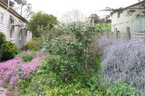 Alvie Cottage - Accommodation Port Hedland 1
