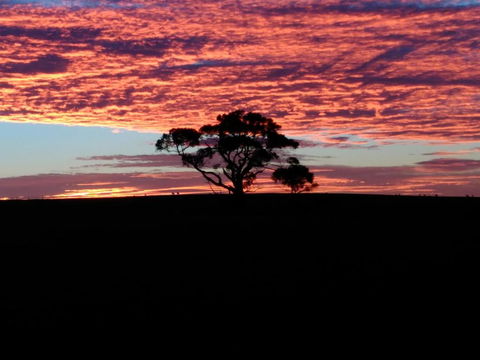 Heartland Hideaway - Accommodation Port Hedland 3