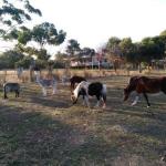 Heartland Hideaway - Accommodation Port Hedland 0