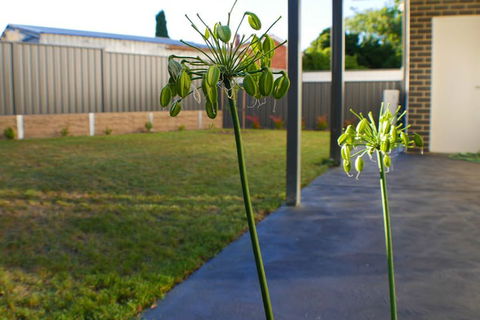 Maison Executive - Accommodation Port Hedland 3
