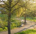 A Suite Spot in the Hills - Accommodation Port Hedland
