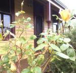 Albion Cottage - Accommodation Port Hedland