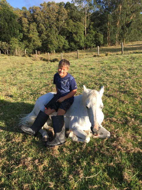 Tall Timbers Motel - Accommodation Port Hedland 5
