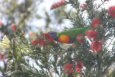 The Dollhouse Cottage - Accommodation Port Hedland 5