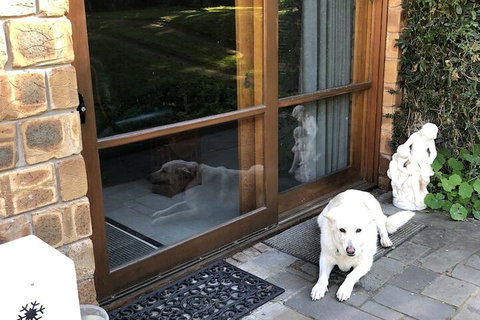 Farmhouse Flat Pet Friendly - Accommodation Port Hedland 7