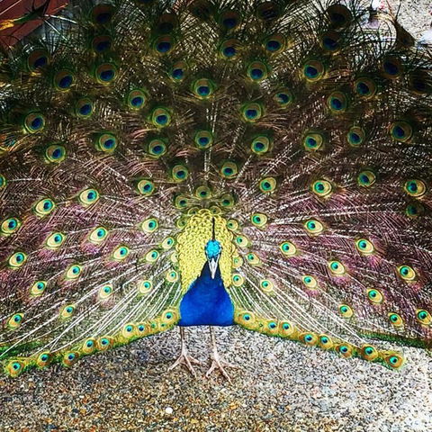 Chum Creek Hut - Accommodation Port Hedland 6