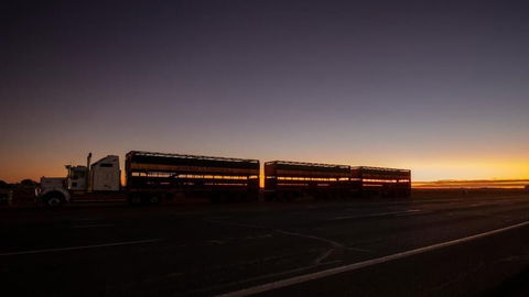 Longreach Outback Adventures - Accommodation Port Hedland 2