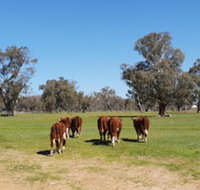 Jindera Park - Accommodation Port Hedland