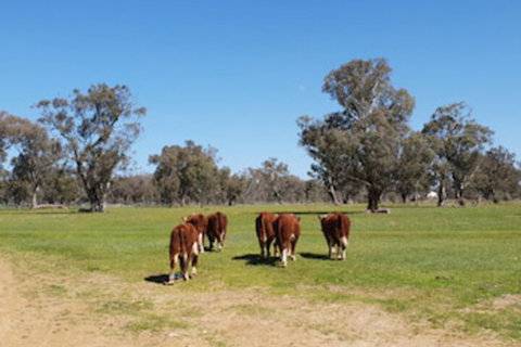Jindera Park - Accommodation Port Hedland 0