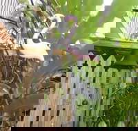 Seaside Hideaway at Clifton Beach - Accommodation Port Hedland