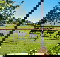 Curra Homestead Maleny - Accommodation Port Hedland
