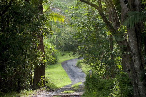 Nimbin Waterfall Retreat - Accommodation Port Hedland 1