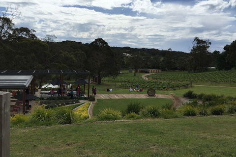 Aquawaters House By Barefoot Beach Stays - Accommodation Port Hedland 5