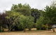 Somerset Caravan Park - thumb 4