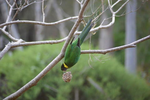 Naturescape - Accommodation Port Hedland 2