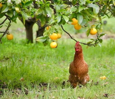 Naturescape - Accommodation Port Hedland 3