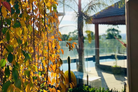 Grand Gippsland Home Sleeps Up To 28 - Accommodation Port Hedland 2