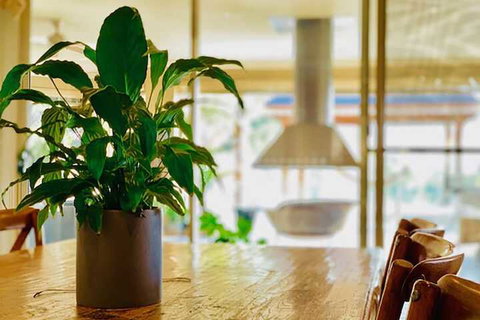 Grand Gippsland Home Sleeps Up To 28 - Accommodation Port Hedland 4