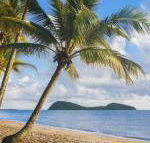 Eden Oceans Edge Palm Cove - Accommodation Port Hedland