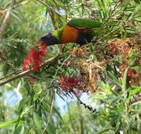 Clifton Beach Retreat - Accommodation Port Hedland