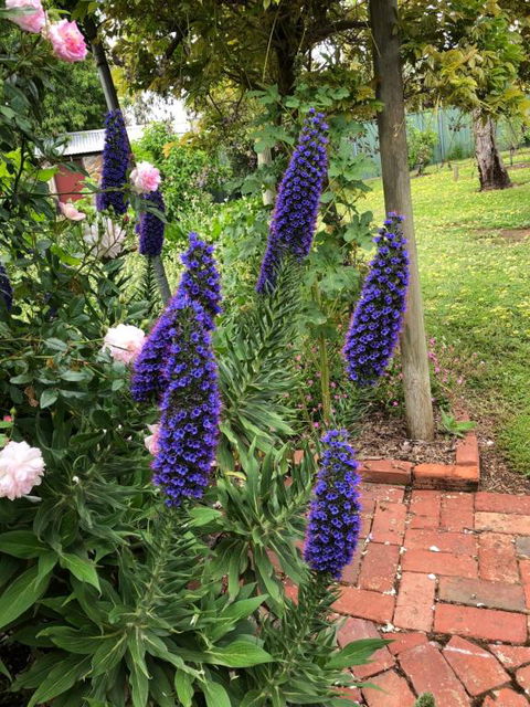 Barossa Barn Bed & Breakfast - Accommodation Port Hedland 2