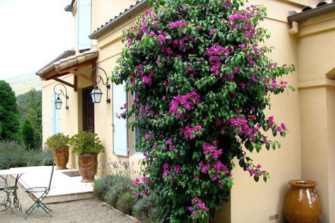 Casa Valeri - Accommodation Port Hedland 3