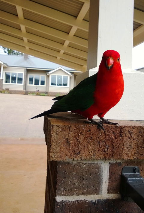 Marysville Garden Cottages - Accommodation Port Hedland 3
