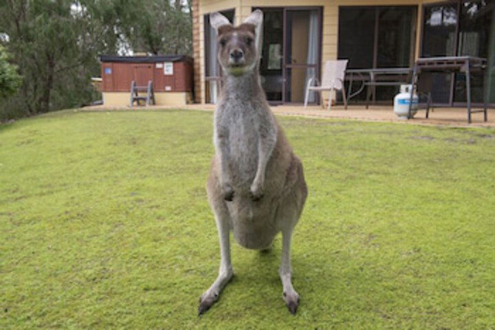 Metricup WA Accommodation Port Hedland