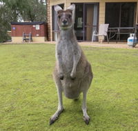 Yelverton Brook Conservation Sanctuary - Accommodation Port Hedland